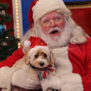 Meet your Posher, Meg